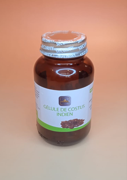 COSTUS INDIEN