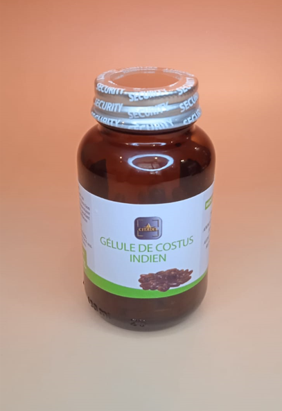 COSTUS INDIEN